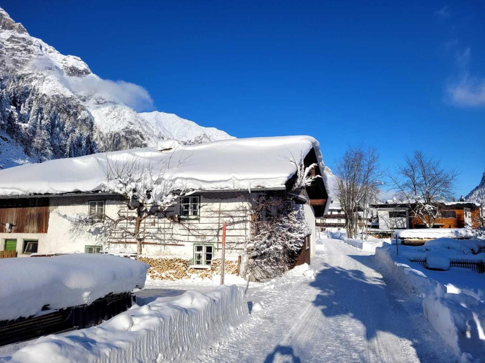 Alpenchalet Im Leutaschtal Extérieur photo