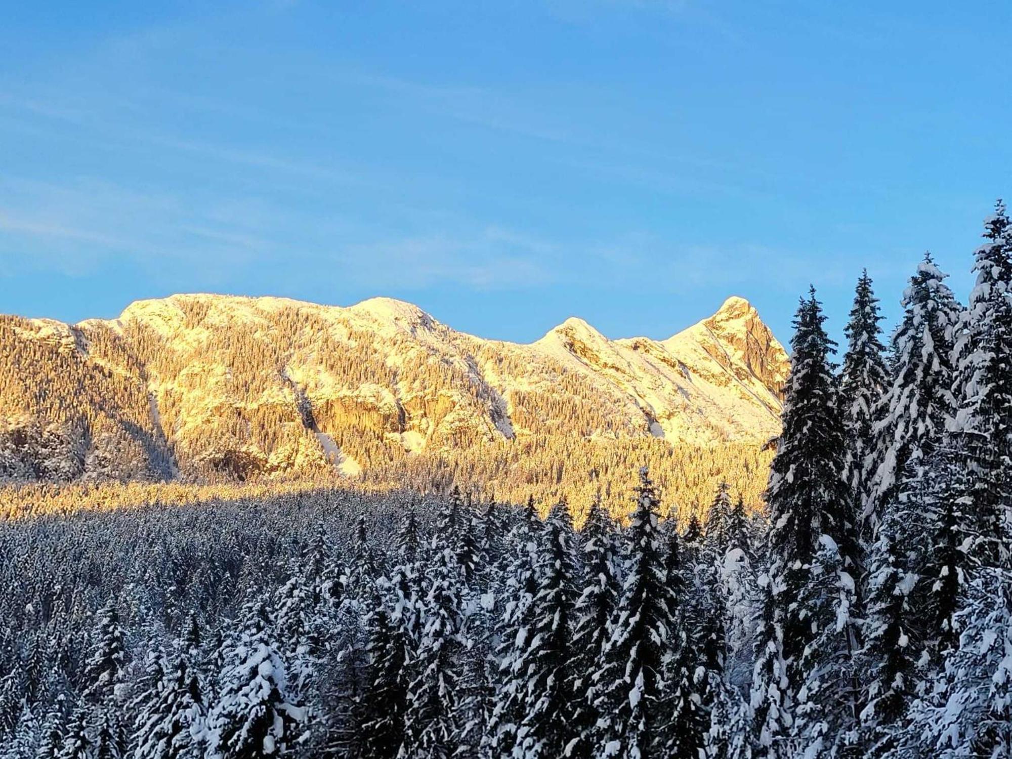 Alpenchalet Im Leutaschtal Extérieur photo